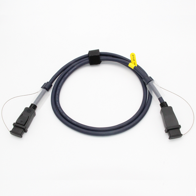 DP Cable