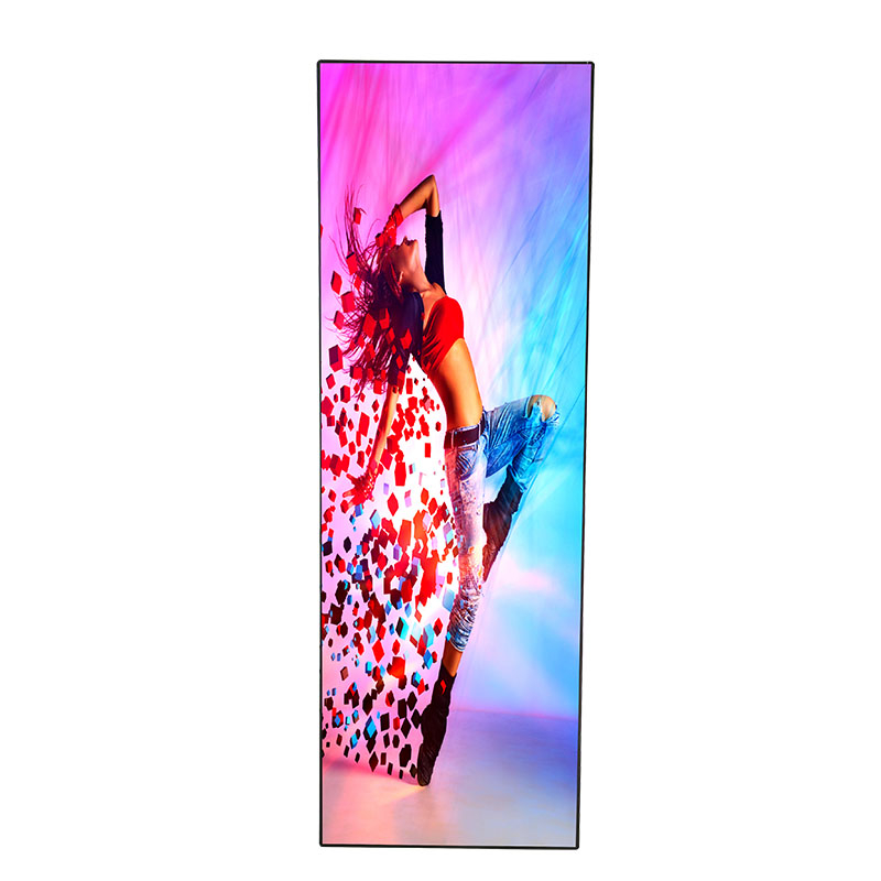 TPZZ Series Poster LED Display