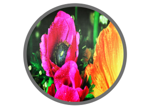  Circular LED Display